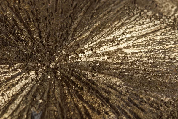 Beyaz bir arka plan üzerinde makro mineral taş pirit Doları 