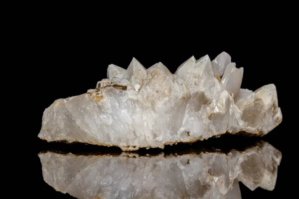 Makro Mineralstein Schneequarz Mit Kalzit Auf Schwarzem Hintergrund Nahaufnahme — Stockfoto