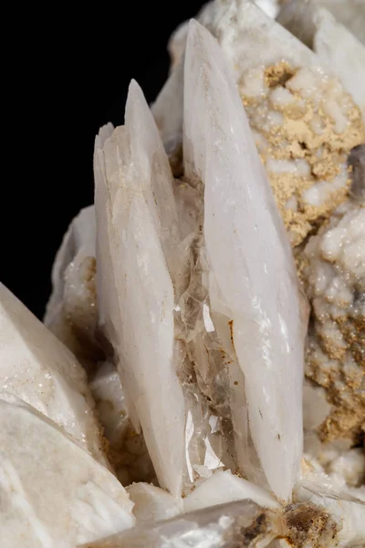 Macro mineral stone Snow quartz with calcite on a black background close up