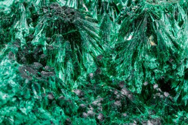 Makro mineral taş plisoviy, peluş, saten malakit beyaz arka plan yakın tarih