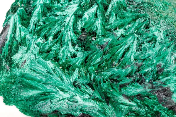 Makro Mineral Sten Plisoviy Plysch Satin Malakit Vit Bakgrund Närbild — Stockfoto
