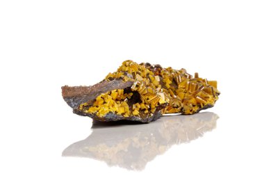 Makro mineral taş Wulfenite bir beyaz arka plan yakın çekim sarı.