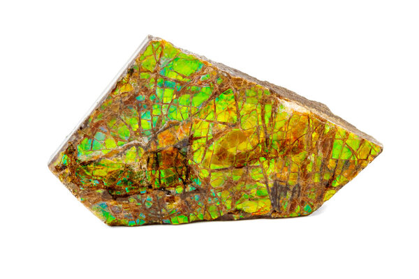 Macro of the mineral stone ammolite on white background close up