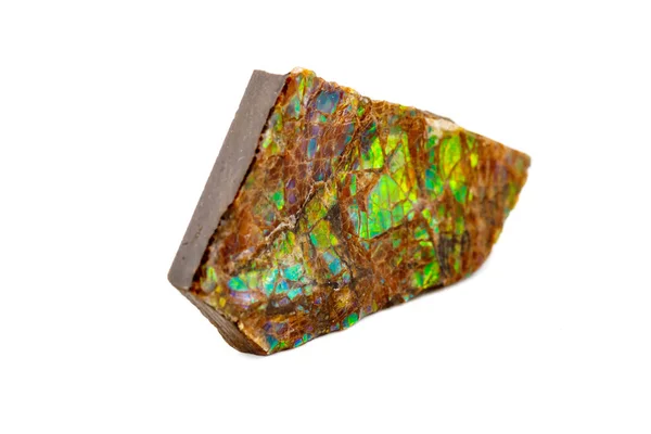 Makro Dari Batu Mineral Ammolit Pada Latar Belakang Putih Menutup — Stok Foto
