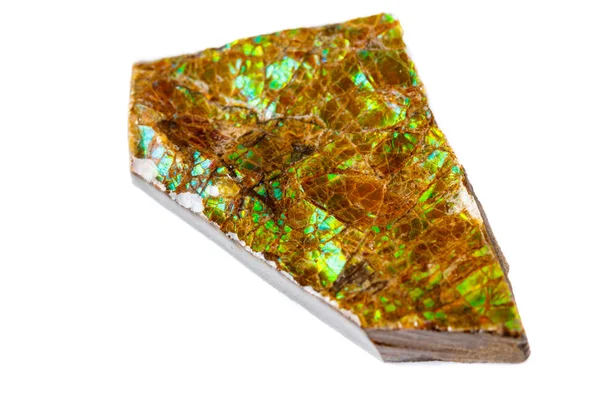Makro Dari Batu Mineral Ammolit Pada Latar Belakang Putih Menutup — Stok Foto