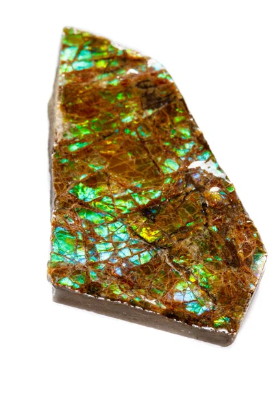 Macro Pedra Mineral Ammolite Fundo Branco Fechar — Fotografia de Stock