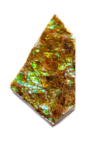 Macro Della Pietra Minerale Ammolite Sfondo Bianco Vicino — Foto Stock