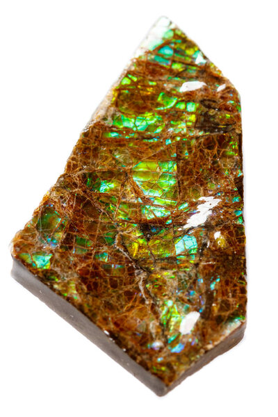 Macro of the mineral stone ammolite on white background close up