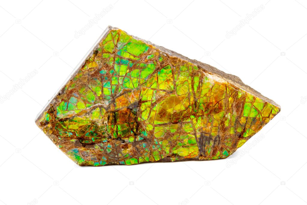 Macro of the mineral stone ammolite on white background close up