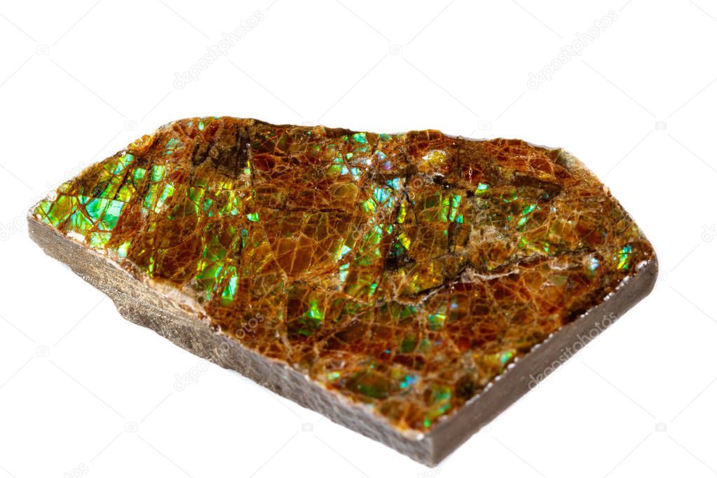 Macro of the mineral stone ammolite on white background close up