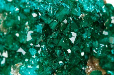 Makro mineral taş Dioptase silikat bir beyaz arka plan yakın çekim bakır