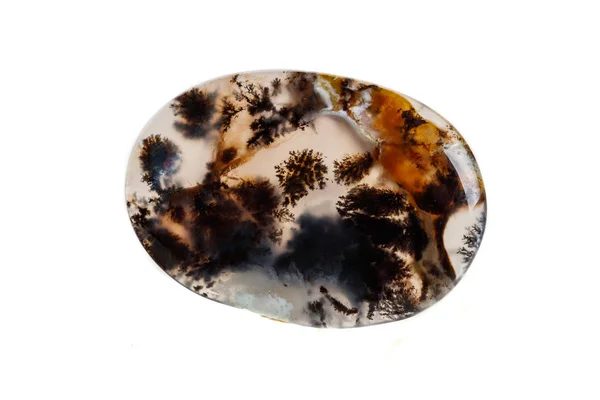 Macro Mineral Stone Moss Agate Agata Muschiataan White Background — Stock Photo, Image