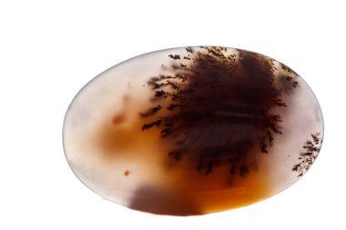 Makro mineral taş yosun akik, Agata muschiataan beyaz arka plan