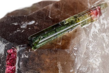 Kuvars beyaz bir arka plan üzerinde makro mineral Turmalin taş yakın çekim