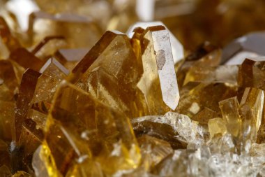 Barit beyaz bir arka plan üzerinde makro mineral taş barit kristalleri, yakın çekim