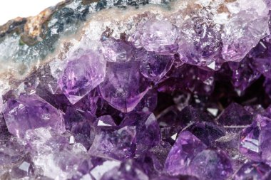 Makro Mineral taş fırçalanabilir beyaz bir arka plan üzerinde Rock'daki yakın çekim