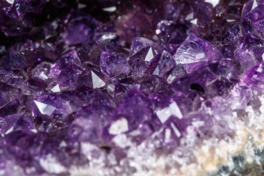 Makro Mineral taş fırçalanabilir beyaz bir arka plan üzerinde Rock'daki yakın çekim