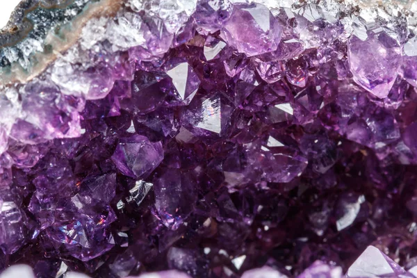 Macro Mineral Stone Amethysts in the rock on a white background close up