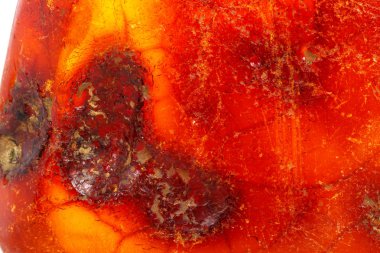 Makro Amber beyaz arka plan üzerinde mineral taş yakın çekim