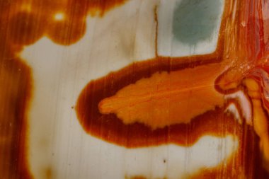 Mineral taş jasper desenli beyaz bir arka plan üzerinde makro yakın çekim