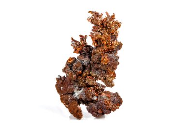 Makro mineral taş bakır beyaz arka plan üzerinde Kapat
