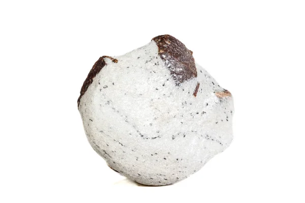 Минеральный Камень Staurolite Белом Фоне Крупным Планом — стоковое фото
