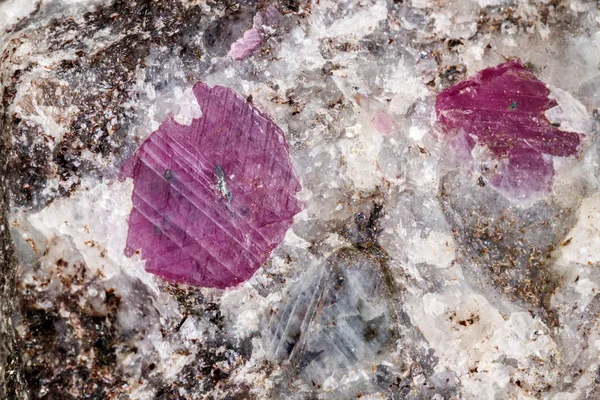 Макро Минерального Рубинового Камня Белом Фоне Крупным Планом — стоковое фото