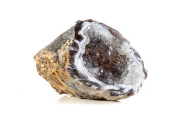 Makro mineral taş akik böbrek gerbera beyaz arka plan üzerinde kapat