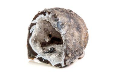 Makro mineral taş akik böbrek gerbera beyaz arka plan üzerinde kapat