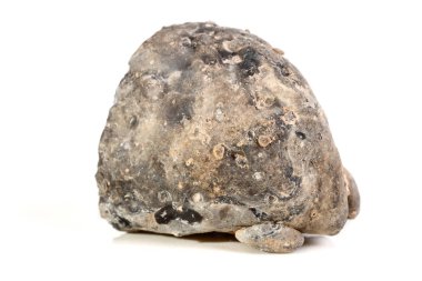 Makro mineral taş akik böbrek gerbera beyaz arka plan üzerinde kapat