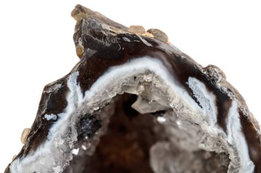 Makro mineral taş akik böbrek gerbera beyaz arka plan üzerinde kapat