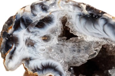 Makro mineral taş akik böbrek gerbera beyaz arka plan üzerinde kapat