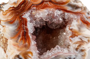 Makro mineral taş akik böbrek gerbera beyaz arka plan üzerinde kapat