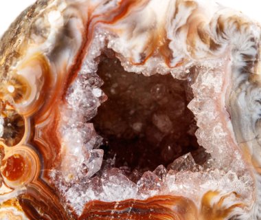 Makro mineral taş akik böbrek gerbera beyaz arka plan üzerinde kapat