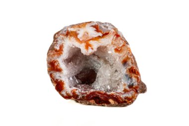 Makro mineral taş akik böbrek gerbera beyaz arka plan üzerinde kapat