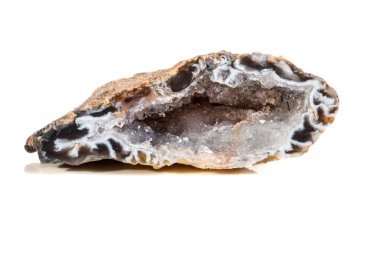 Makro mineral taş akik böbrek gerbera beyaz arka plan üzerinde kapat