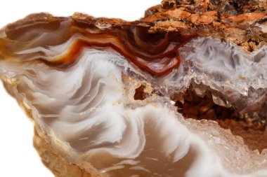 Makro mineral taş akik böbrek gerbera beyaz arka plan üzerinde kapat