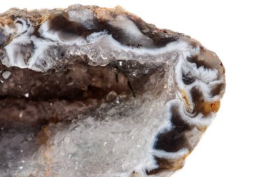 Makro mineral taş akik böbrek gerbera beyaz arka plan üzerinde kapat