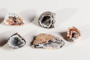 Makro mineral taş akik böbrek gerbera beyaz arka plan üzerinde kapat