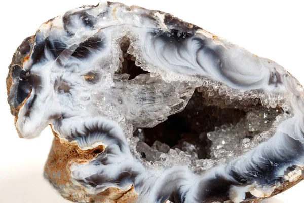 Makro mineral taş akik böbrek gerbera beyaz arka plan üzerinde kapat