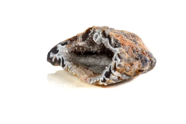Gerbera Nerek Mineralne Kamienia Agat Makro Białym Tle Bliska — Zdjęcie stockowe