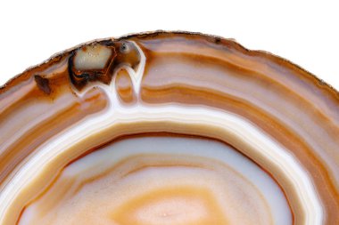 Beyaz bir arka plan makro mineral taş sarı, kahverengi akik doğurmak yakın çekim