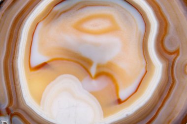 Beyaz bir arka plan makro mineral taş sarı, kahverengi akik doğurmak yakın çekim