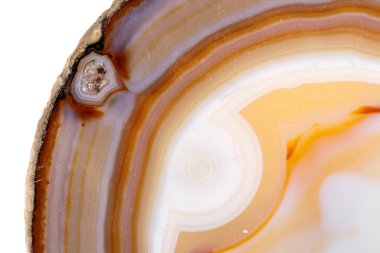 Beyaz bir arka plan makro mineral taş sarı, kahverengi akik doğurmak yakın çekim