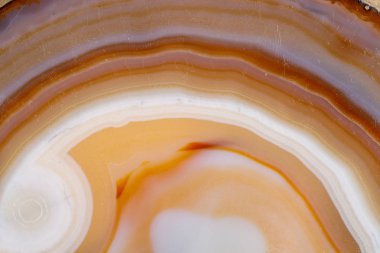 Beyaz bir arka plan makro mineral taş sarı, kahverengi akik doğurmak yakın çekim