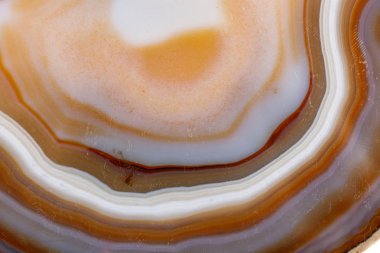 Beyaz bir arka plan makro mineral taş sarı, kahverengi akik doğurmak yakın çekim