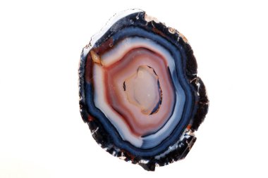 Beyaz bir arka plan makro mineral taş sarı, kahverengi akik doğurmak yakın çekim