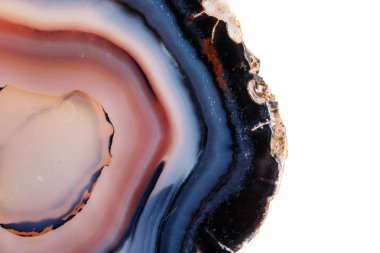 Beyaz bir arka plan makro mineral taş sarı, kahverengi akik doğurmak yakın çekim