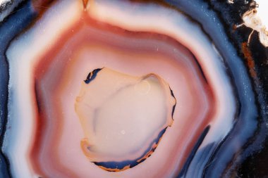 Beyaz bir arka plan makro mineral taş sarı, kahverengi akik doğurmak yakın çekim