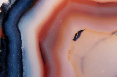 Beyaz bir arka plan makro mineral taş sarı, kahverengi akik doğurmak yakın çekim